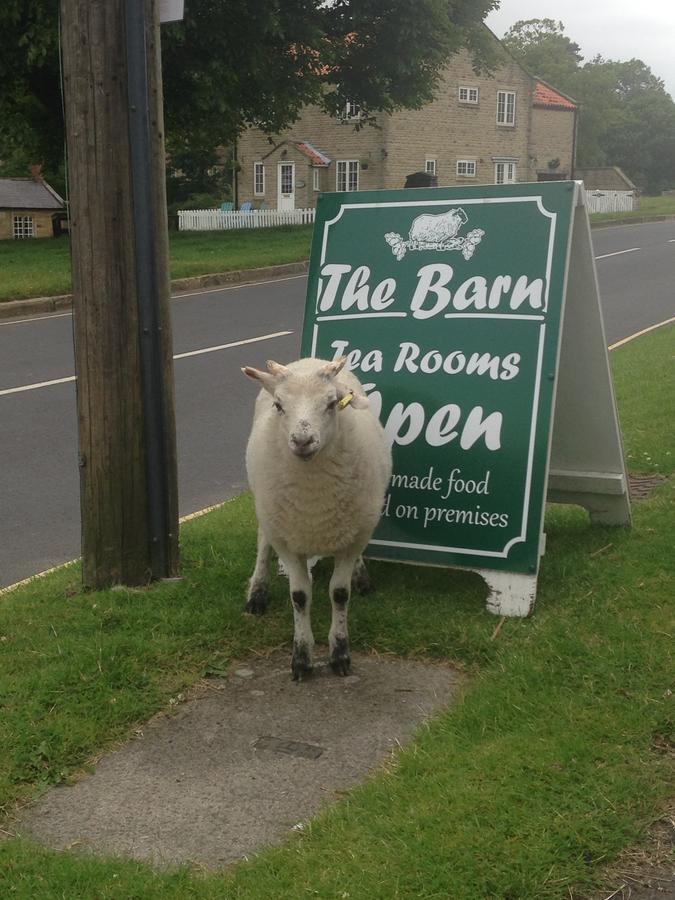 The Barn Guest House And Tearoom Hutton le Hole エクステリア 写真